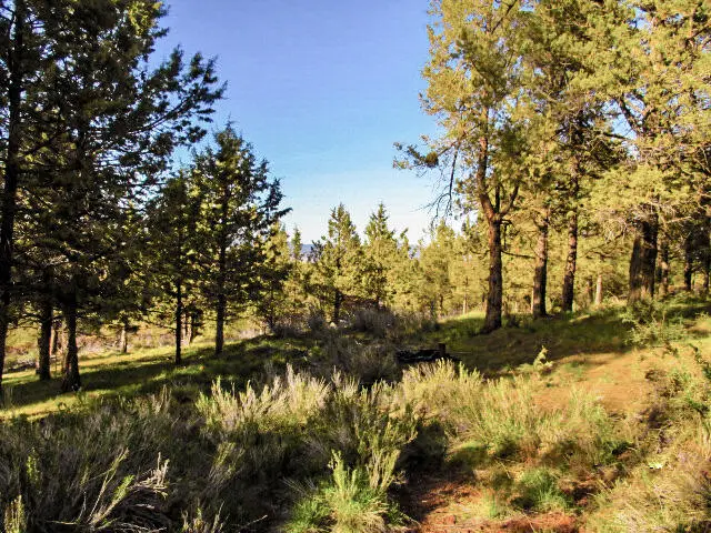 0 Pearson Butte, Keno, OR 97627 - Image #1