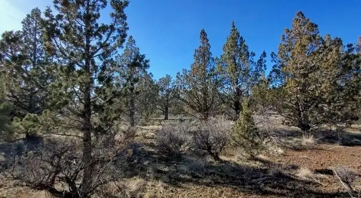 19725 SE Upper Ridge, Prineville, OR 97754 - Image #1