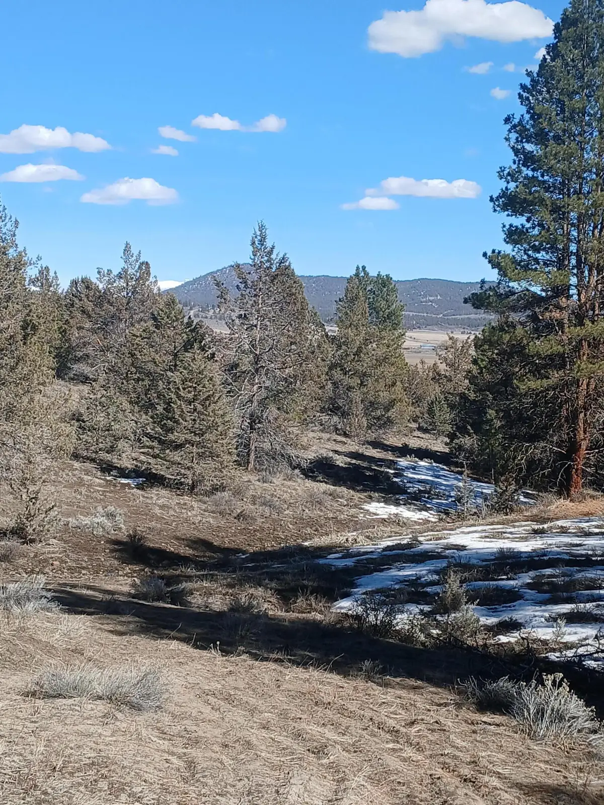 0 Drews Road, Beatty, OR 97621 - Image #1