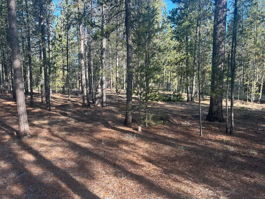 16060 Elkhorn, La Pine, OR 97739 - Image #2