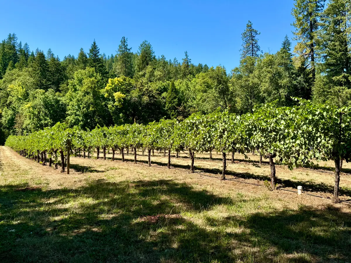 350 Mona, Cave Junction, OR 97523 - Image #1