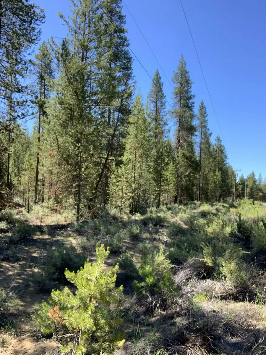 53620 Woodchuck, La Pine, OR 97739 - Image #2