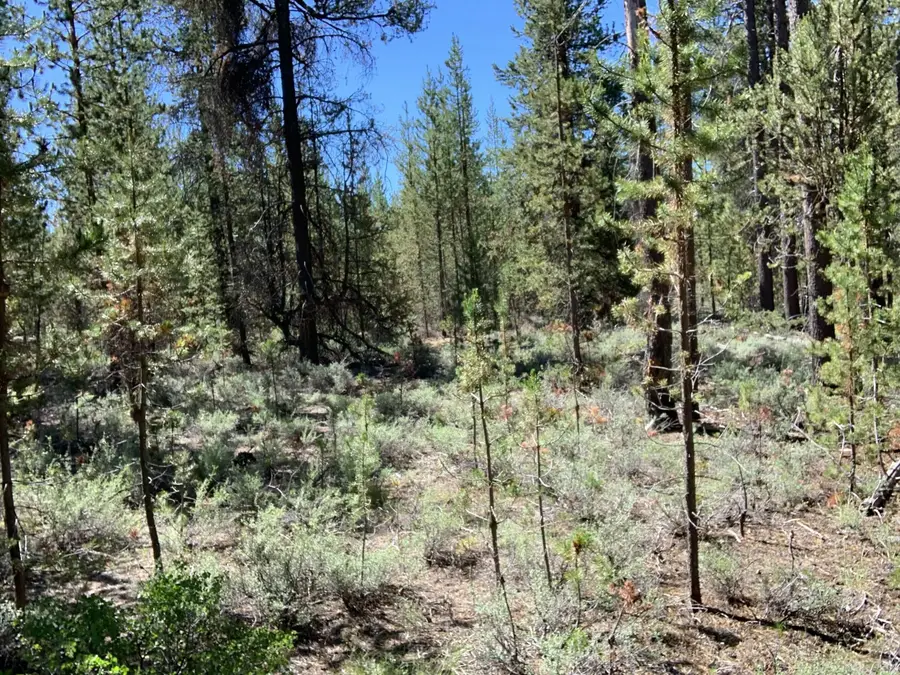 53622 Woodchuck Drive, La Pine, OR 97739 - Image #3