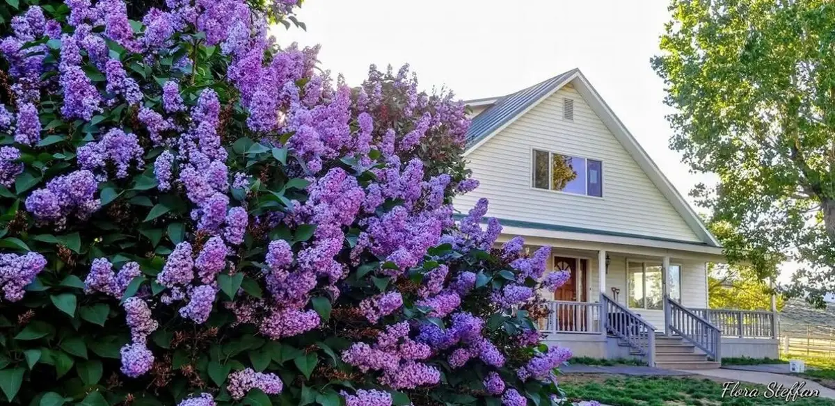 39042 Clover Flat, Paisley, OR 97636 - Image #1