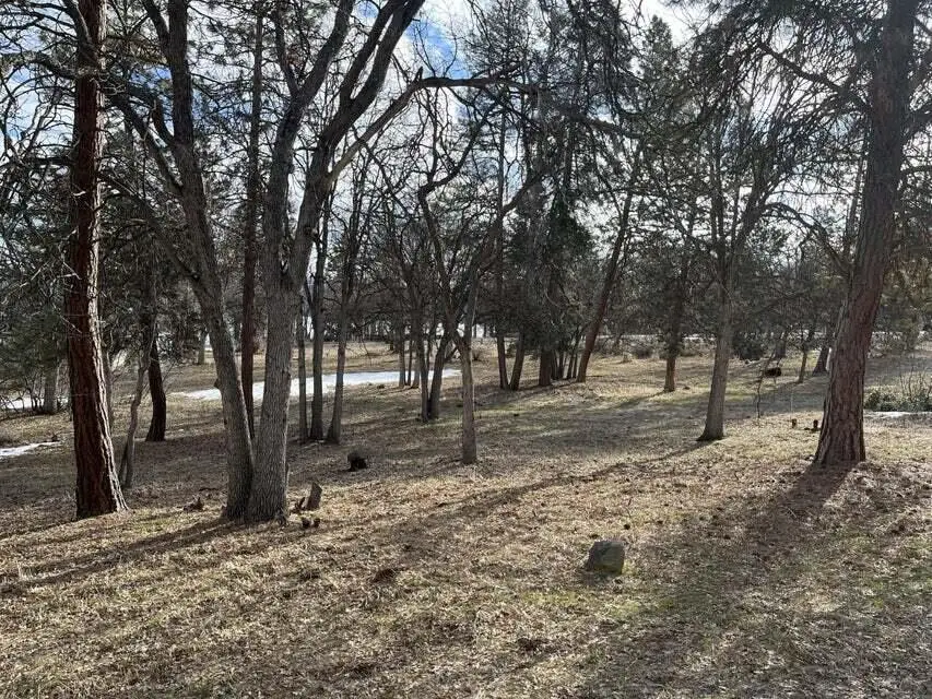 Lot 918 Redstart, Klamath Falls, OR 97601 - Image #2