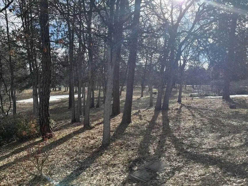 Lot 918 Redstart, Klamath Falls, OR 97601 - Image #3