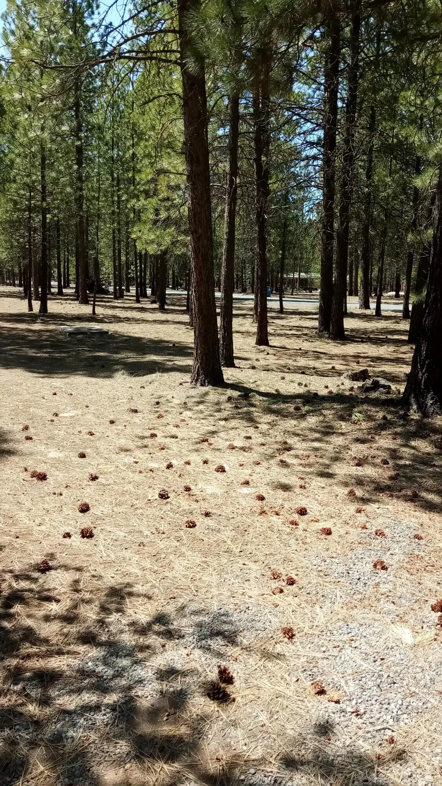 52170 Ponderosa Way, La Pine, OR 97739 - Image #3