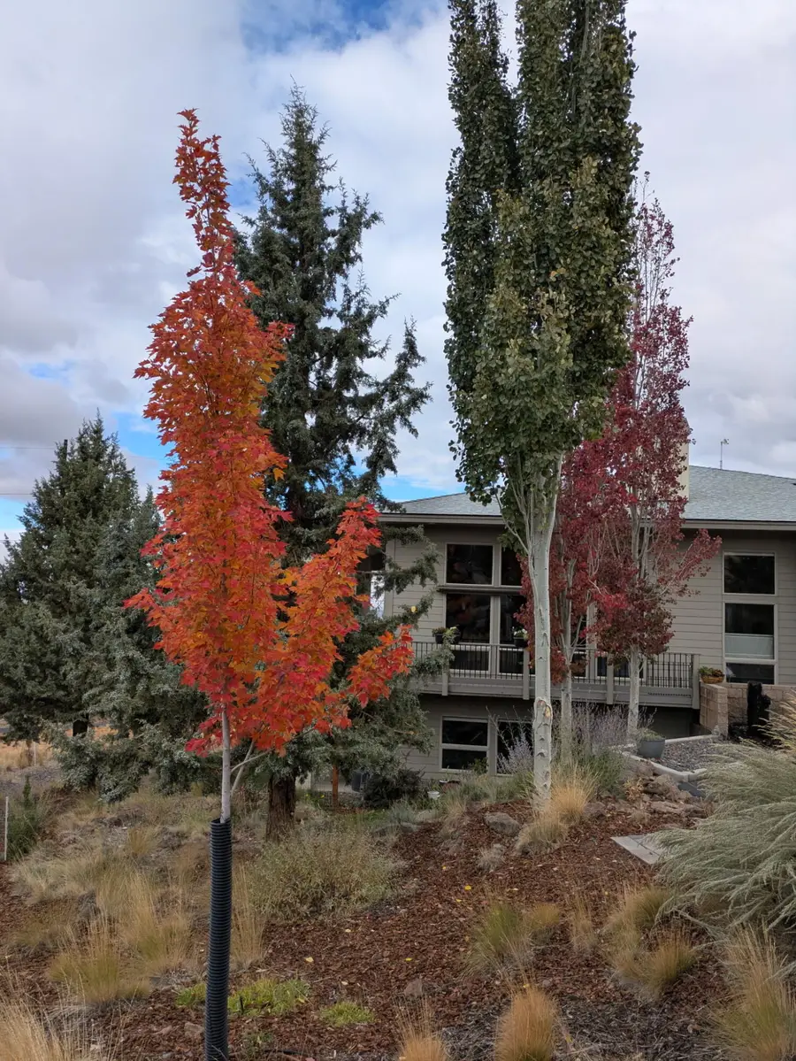 893 Highland View, Redmond, OR 97756 - Image #3