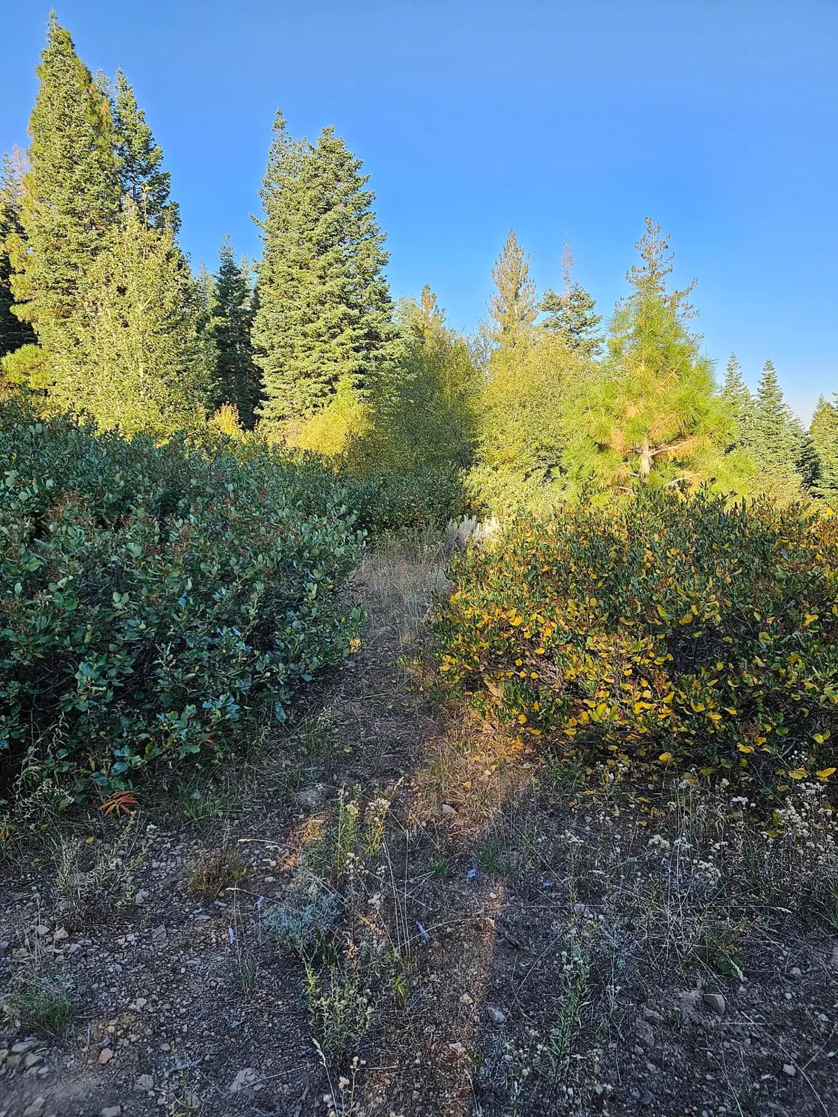 0 Undertimined, Lakeview, OR 97630 - #1