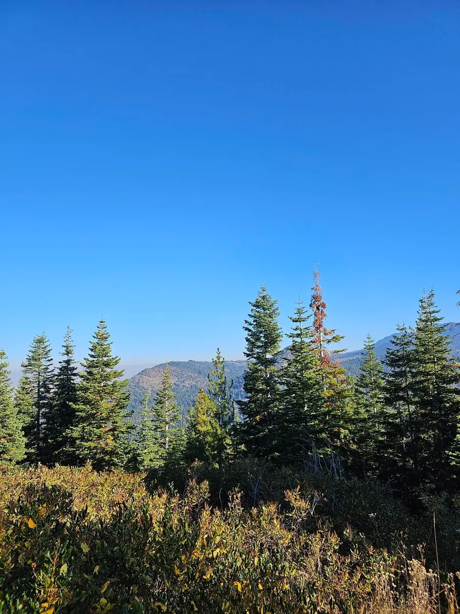 0 Undertimined, Lakeview, OR 97630 - #3