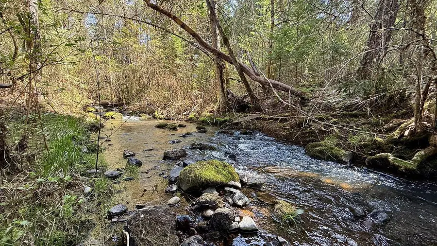 1760 Mill Creek Drive, Prospect, OR 97536 - #2