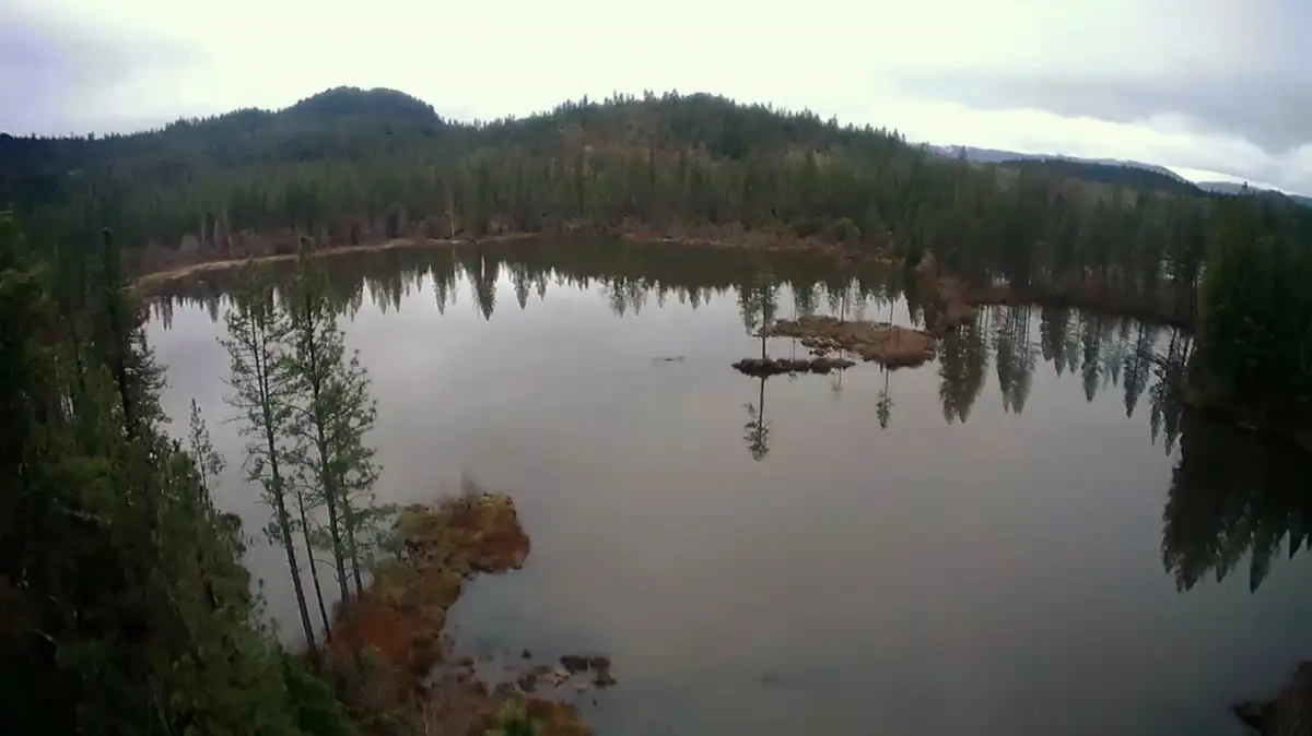 4990 Waldo, Cave Junction, OR 97523 - Image #1