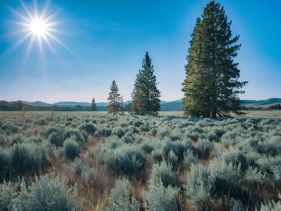 Fishhole Creek Road, Bly, OR 97622 - Image #2