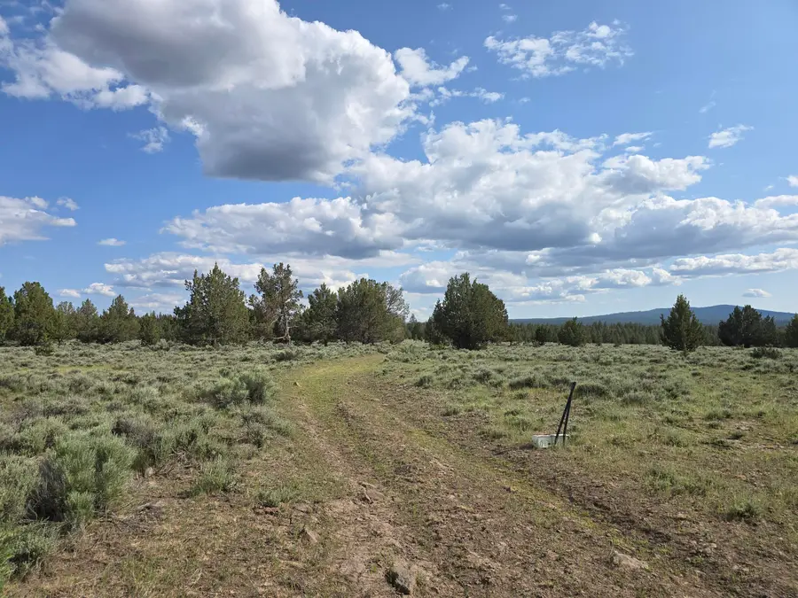 Fishhole Creek Road, Bly, OR 97622 - Image #3