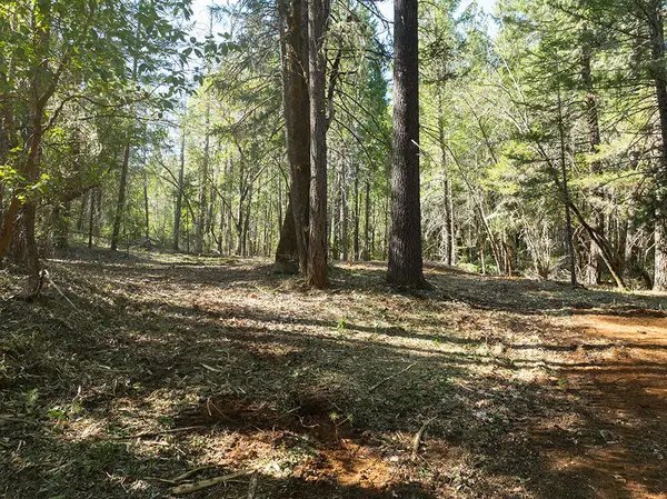 12060 Redwood, Wilderville, OR 97543