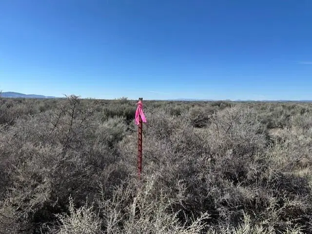 Off Twilight (apn: 3417), Christmas Valley, OR 97641 - Image #3