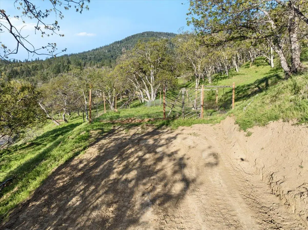 492 Conifer, Ashland, OR 97520 - Image #1