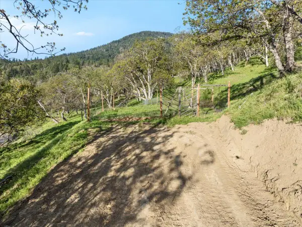 492 Conifer, Ashland, OR 97520