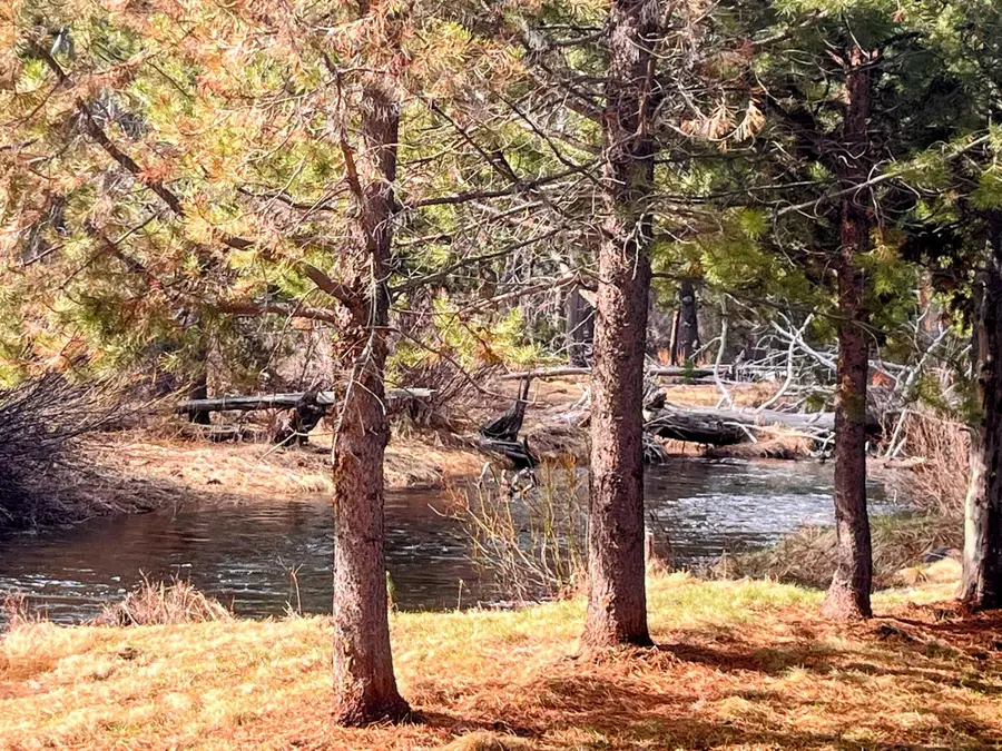 11762 Hemlock Creek, Crescent Lake, OR 97733 - Image #3