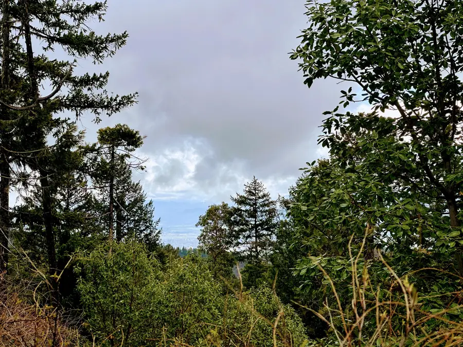 11100 R Fork Forest Cr, Medford, OR 97503 - Image #2