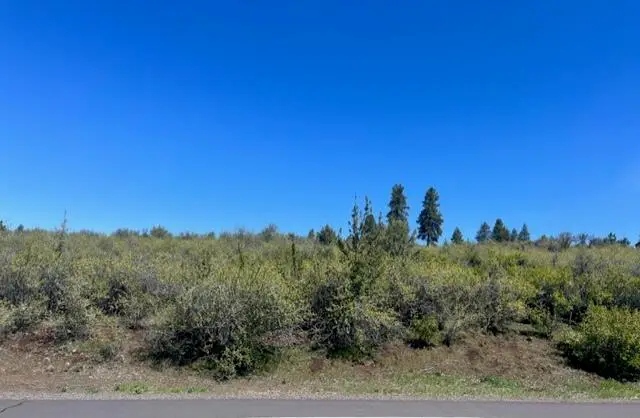 Crossbill, Klamath Falls, OR 97601 - Image #1