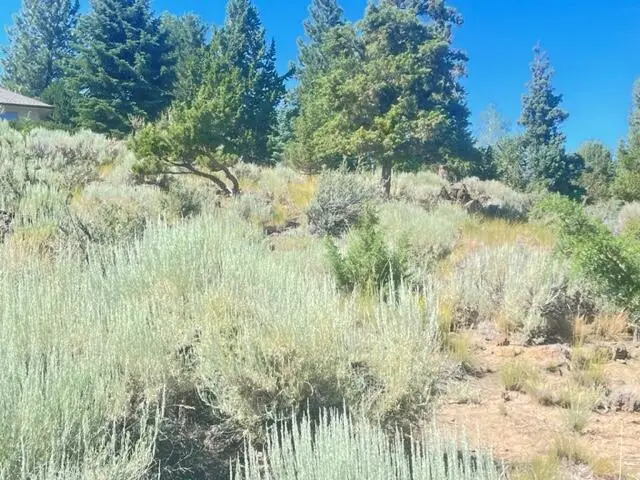 1159 NW Redfield, Bend, OR 97703 - Image #3