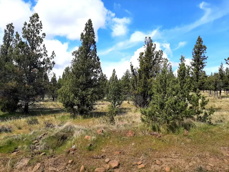 SE Walther Loop, Prineville, OR 97754 - Image #3