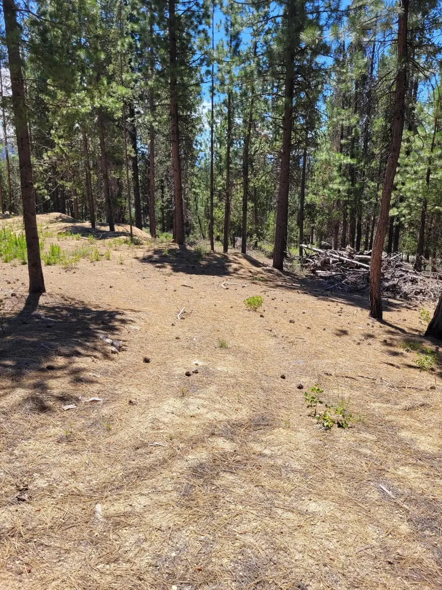 201 Hwy 58, Crescent Lake, OR 97733 - Image #3