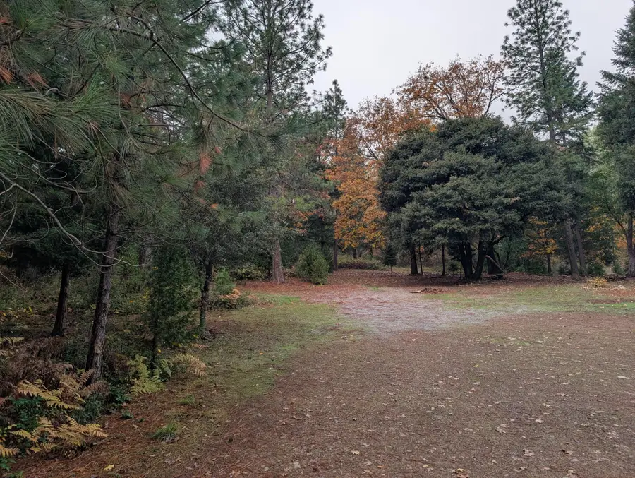 1800 Lower Wolf Creek, Wolf Creek, OR 97497 - Image #2