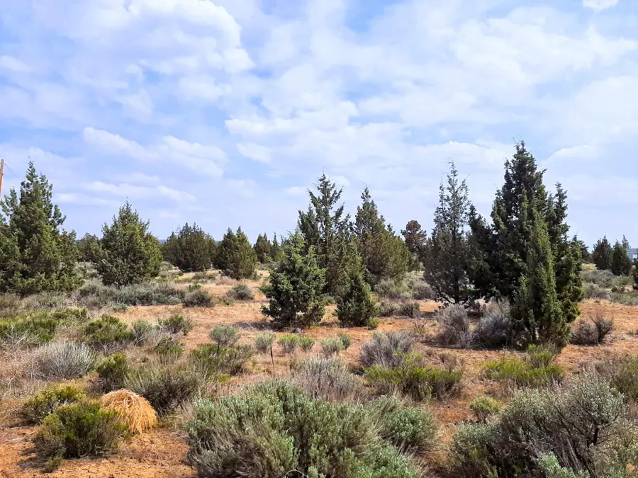SE Tillamook Loop, Prineville, OR 97754 - Image #2