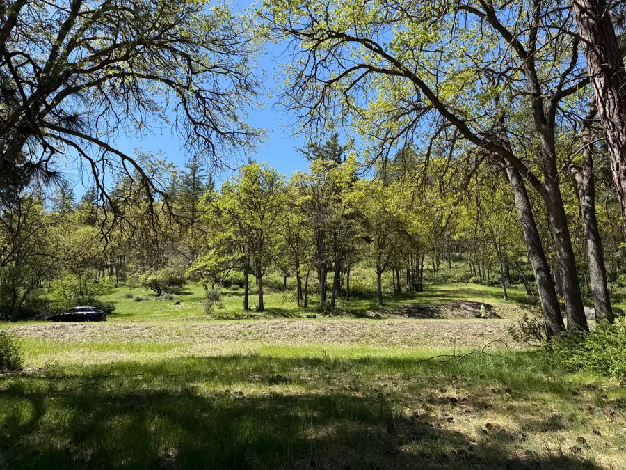Coopers Hawk, Klamath Falls, OR 97601 - Image #2