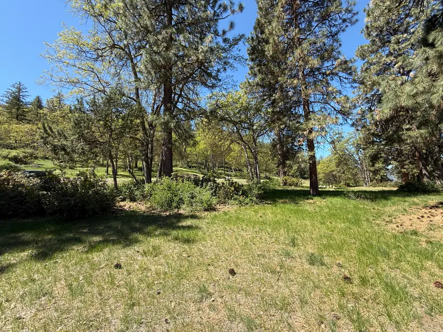 Coopers Hawk, Klamath Falls, OR 97601 - Image #3