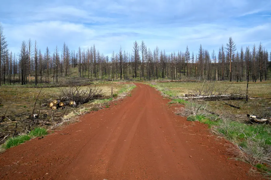 0 Nf 3207, Bly, OR 97622 - Image #3