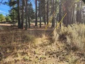 Pine Ridge, Chiloquin, OR 97624 - Image #2