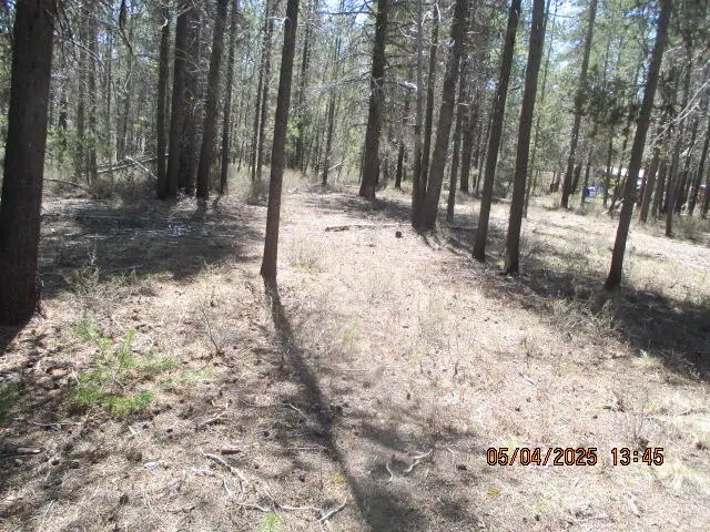 0 Cloudcap Drive #19 & 20, Chiloquin, OR 97624 - Image #2