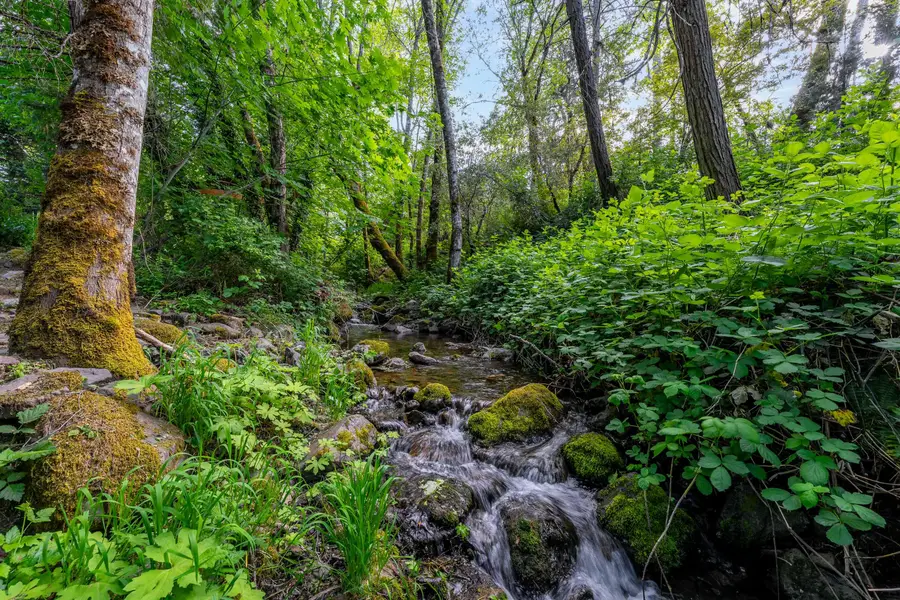 988 Savage Creek, Grants Pass, OR 97527 - Image #2