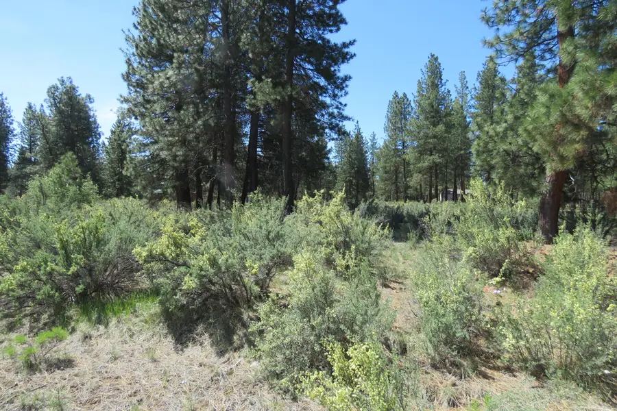 Castle Dr Lot 10, Chiloquin, OR 97624 - #2