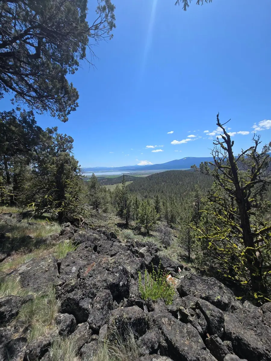 5520 Andrews, Dorris, CA 96023 - Image #3