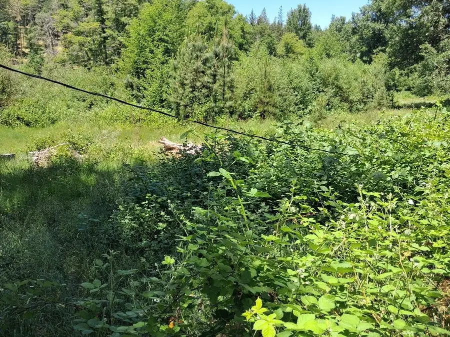 1740 Hugo Road, Merlin, OR 97532 - #2