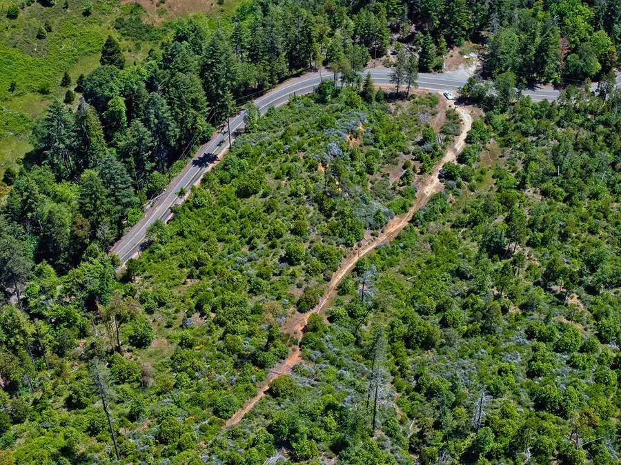 0 Lower Wolf Creek Road #400, Wolf Creek, OR 97497 - Image #3