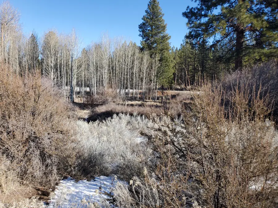 Sundance Dr #Oregon Shores Unit 2, Chiloquin, OR 97624 - #2