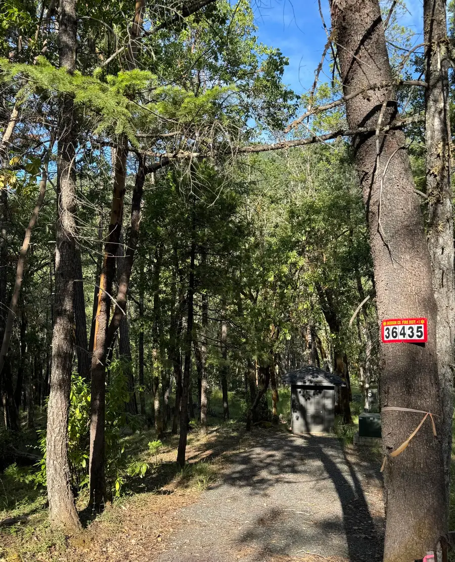 36435 Ditch Creek, Rogue River, OR 97537 - Image #3