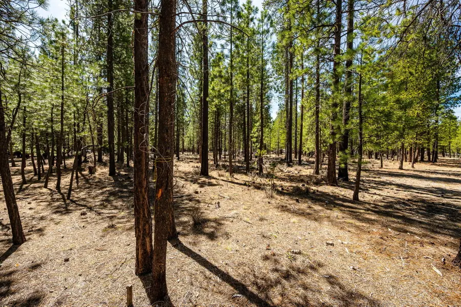 51861 Knobcone, La Pine, OR 97739 - Image #3