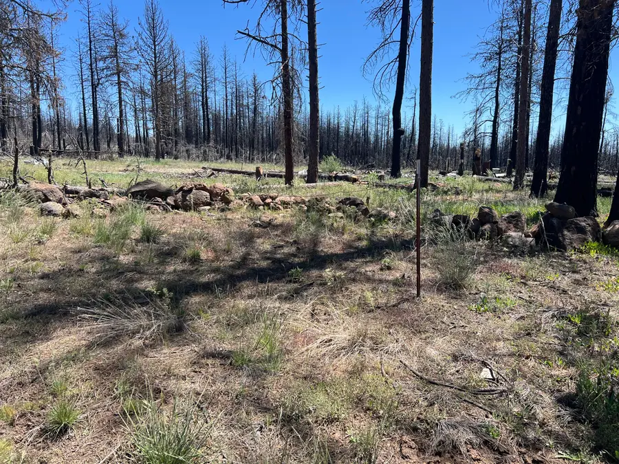 0 Zebu, Bonanza, OR 97623 - Image #2