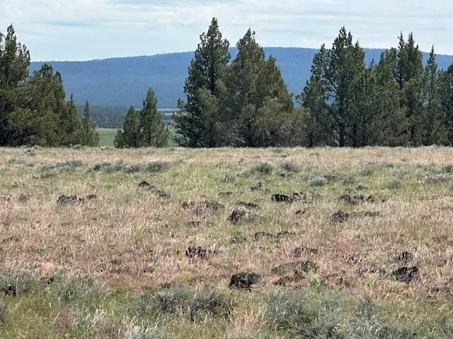 Rim Drive, Sprague River, OR 97639 - #2