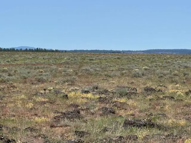 Rim Drive, Sprague River, OR 97639 - #3