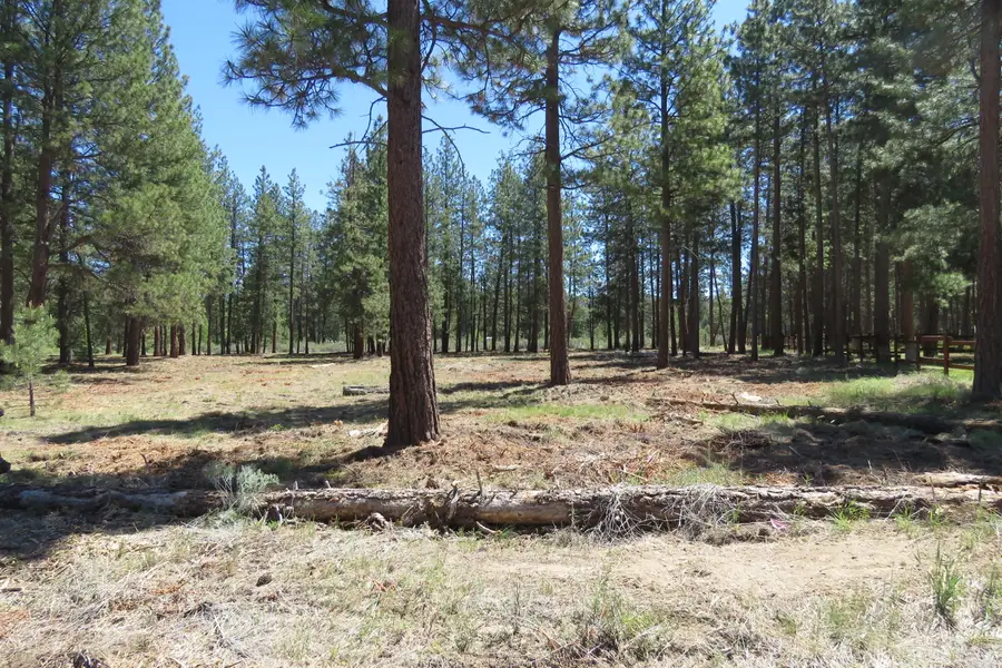 7 Castle Drive, Chiloquin, OR 97624 - #2