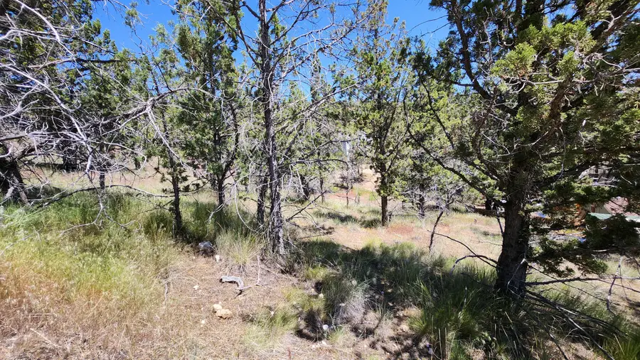 11574 NW Nye, Prineville, OR 97754 - Image #2