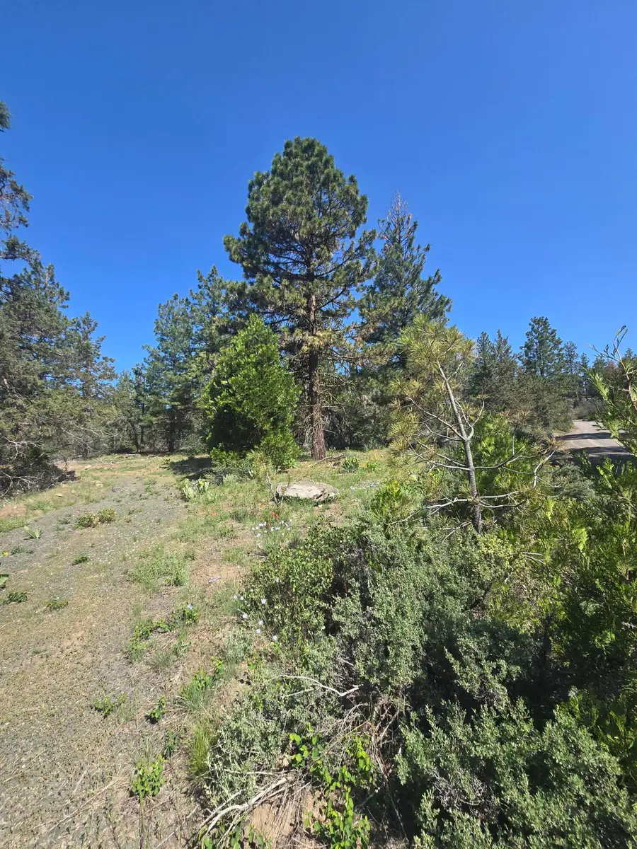 Meadow Lark, Bonanza, OR 97623 - Image #2