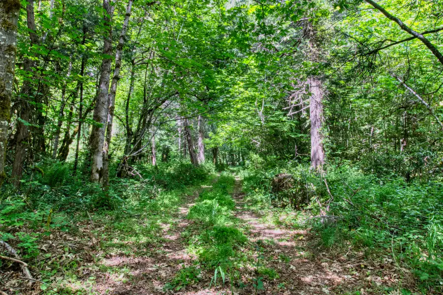 456 Garner, Cave Junction, OR 97523 - Image #3